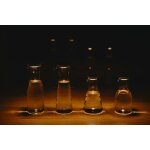 Sonnenglas® Light Carafe Lichtkaraffe 750ml M1**